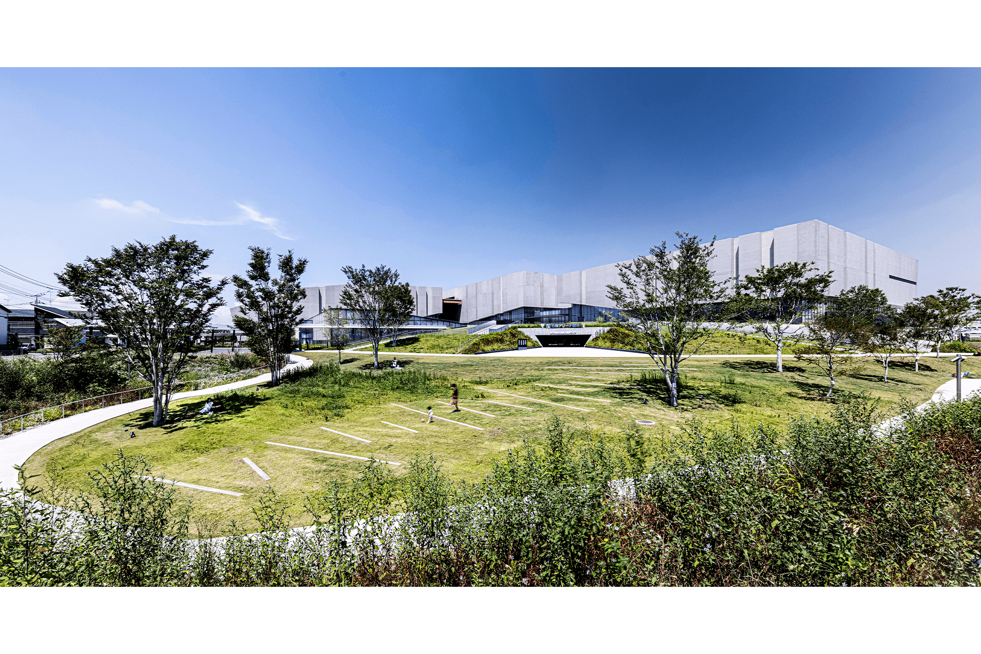 交流の丘越しに建物全体を見る