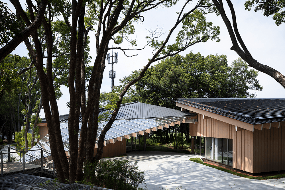 エントランス：森の中に佇む建築